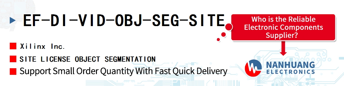 EF-DI-VID-OBJ-SEG-SITE Xilinx SITE LICENSE OBJECT SEGMENTATION